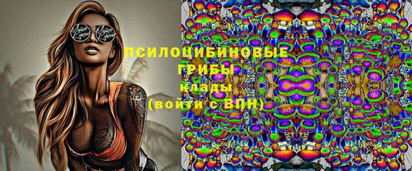 амф Алексин