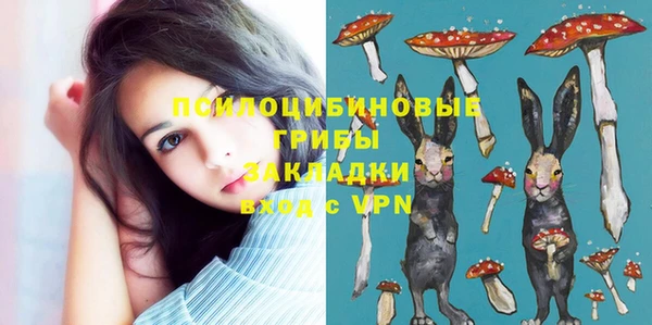 амф Алексин